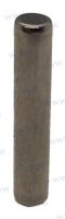 ROLLER Φ4X21.8G2-2-4