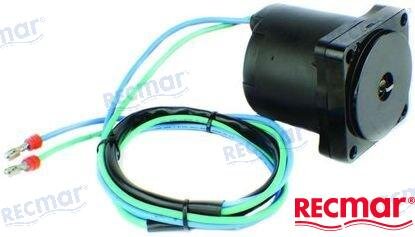 TRIM MOTOR