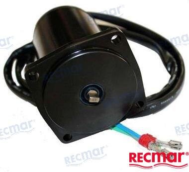 TRIM MOTOR