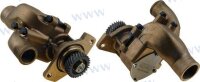 YANMAR WASSERPUMP