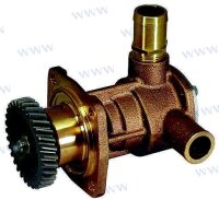 YANMAR WASSERPUMP