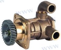 YANMAR WASSERPUMP