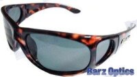 SUNGLASSES TOFINO GT GREY