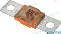SICHERUNG MIDI / AMI 30 A (2)