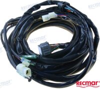 EXTERNAL ARNES