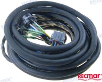 EXTERNAL ARNES