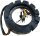 STATOR MERCURY V6