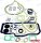 UNTERER DICHTUNSSATZ MD21