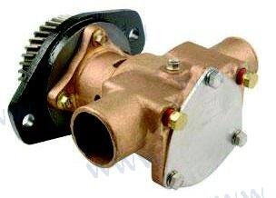 PUMPE CUMMINS 6B UND C 3922589