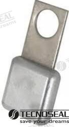 HECKANODE