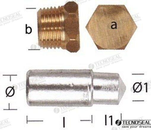 ANODE LOMBARDINI MIT STOPFEN