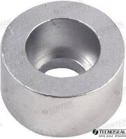 ANODE HAMILTON MOTOR