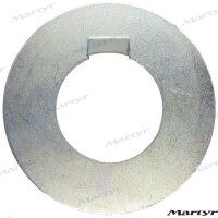 RADICE WASHER 25
