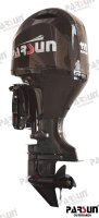 PARSUN-MOTOR 4T 115PS L (20") SCHWARZ