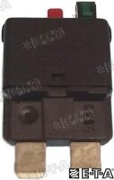 INT. SICHERUNG THERMO 25A