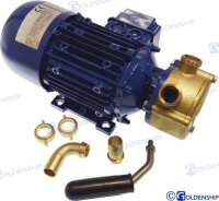 ELEKTROPUMPE 12V 25L/MIN