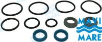 SEAL KIT FORGM2-MRA 01/03/04 PUMP