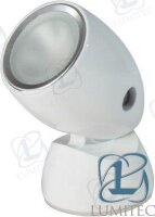 POSITIONABLE LIGHT, BRUSHED, WARM WHITE