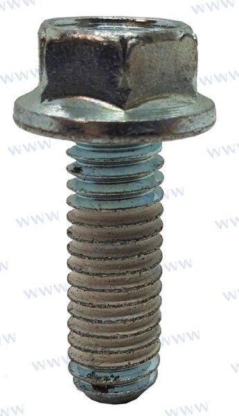 SCHRAUBE ANSAUGSPINNE  262 ALTE VERSION