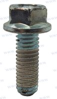SCHRAUBE ANSAUGSPINNE  262 ALTE VERSION