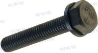 BOLT M6X35