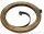 SPRINGM VOLUTE