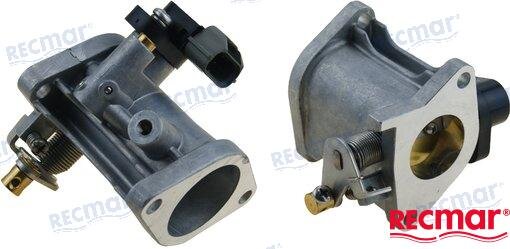 THROTTLE ASSY