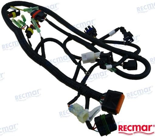 ECU CABLE ASSY