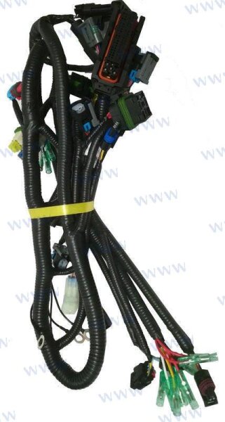 WIRING HARNESS, ECU CONTROL DELFI