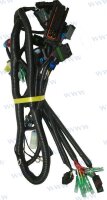 WIRING HARNESS, ECU CONTROL DELFI