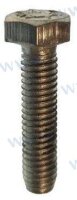 BOLT M6X25